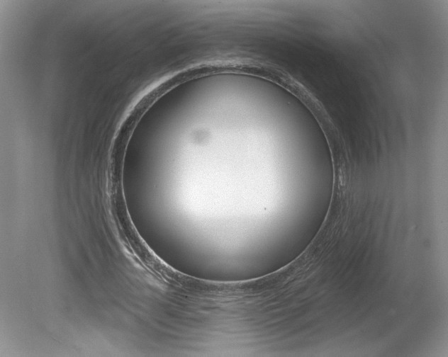 X0000080100724200612080928
