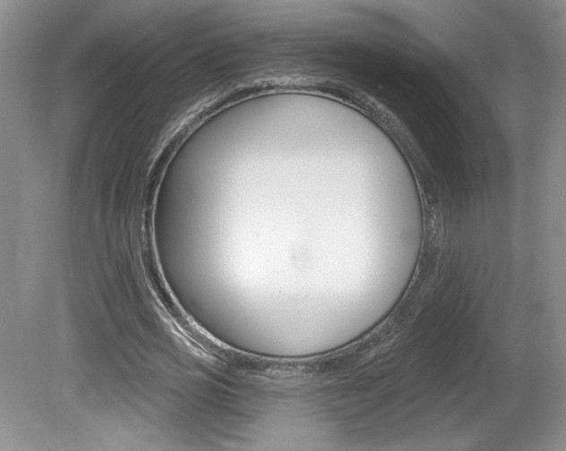 X0000080100725200612080928