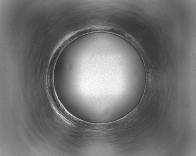 X0000080100726200612080928