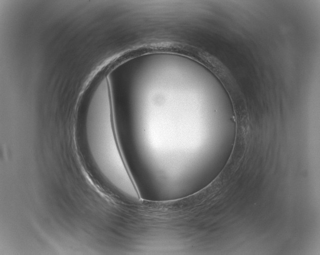 X0000080100728200612080928