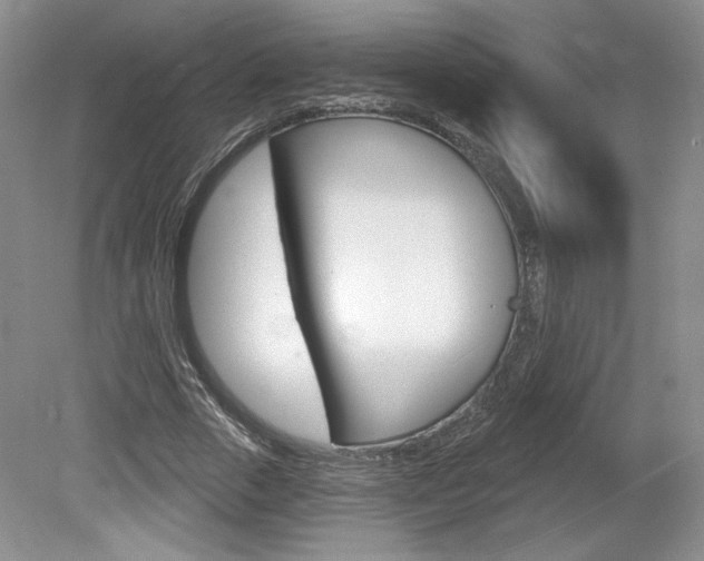 X0000080100729200612080929