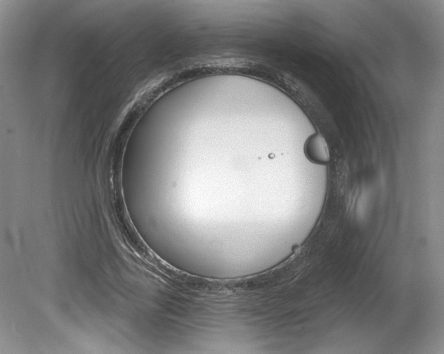 X0000080100731200612080929