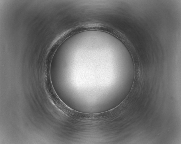 X0000080100732200612080929