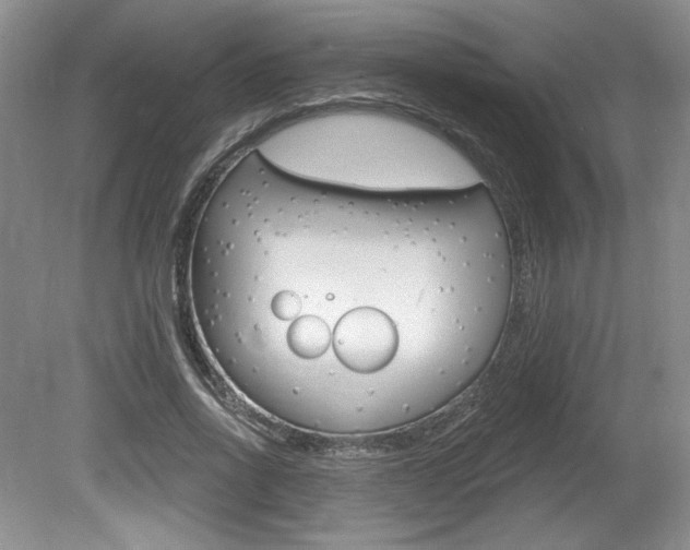 X0000080100734200612080929