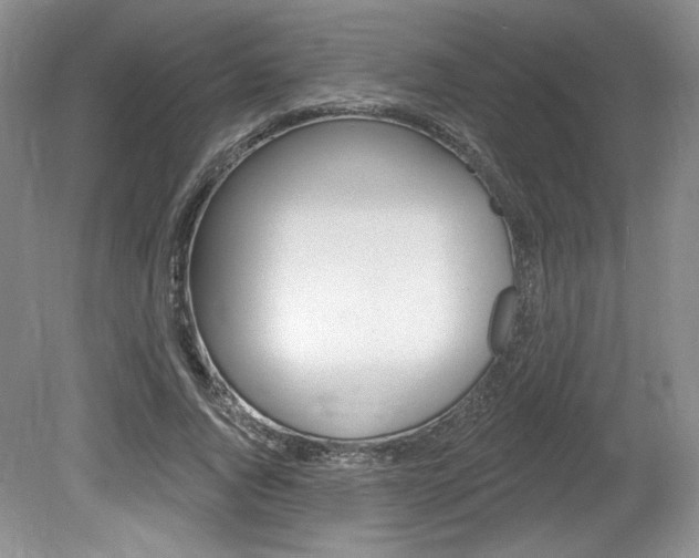 X0000080100736200612080929