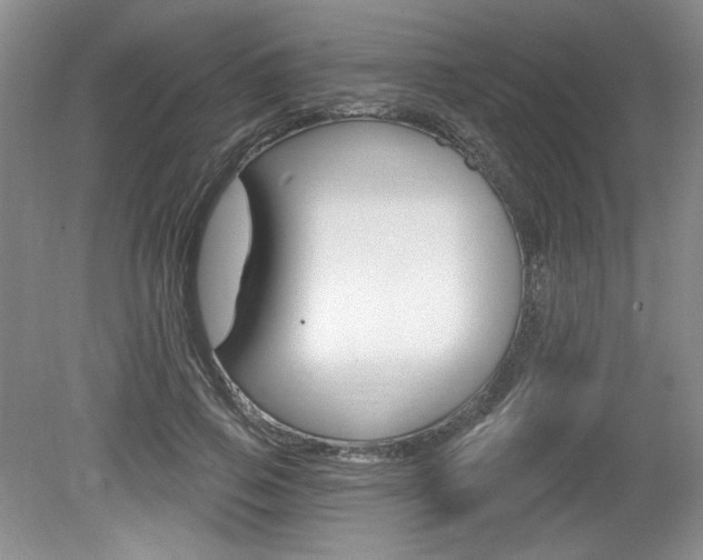 X0000080100741200612080929