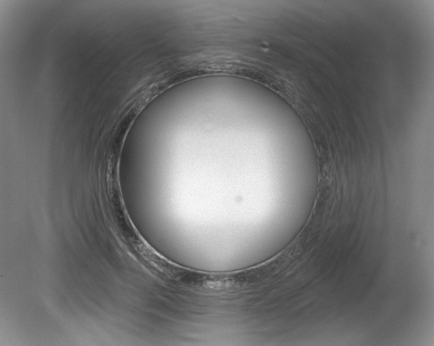X0000080100744200612080929