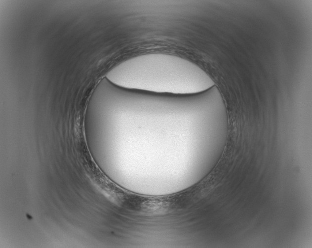 X0000080100745200612080929