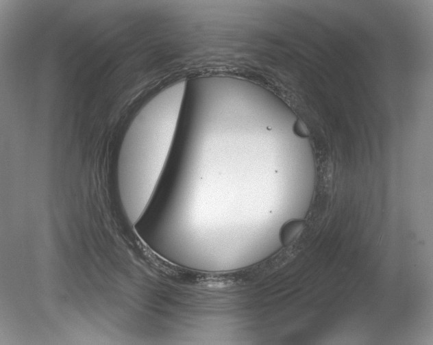 X0000080100746200612080929