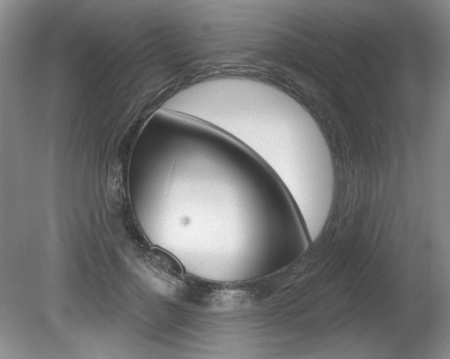 X0000080100748200612080929