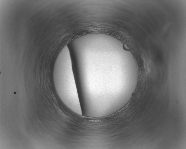 X0000080100749200612080929