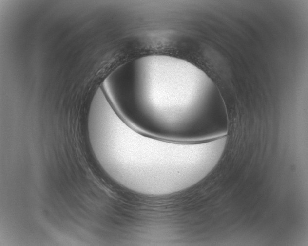 X0000080100750200612080929
