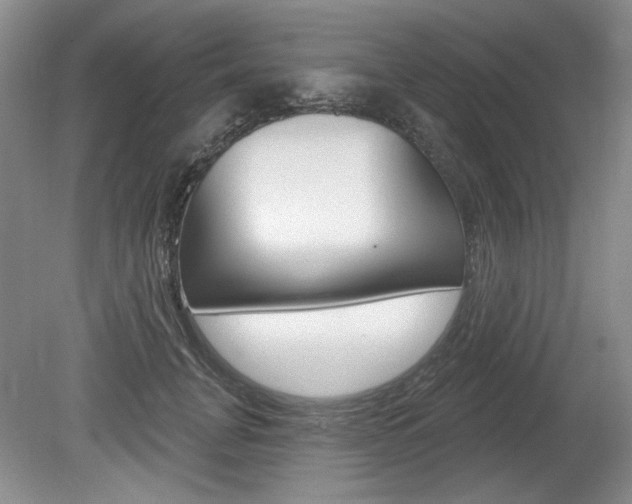 X0000080100751200612080929