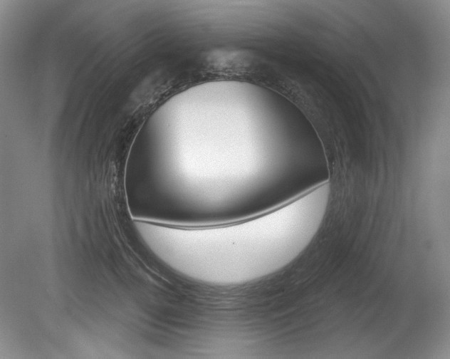X0000080100752200612080929