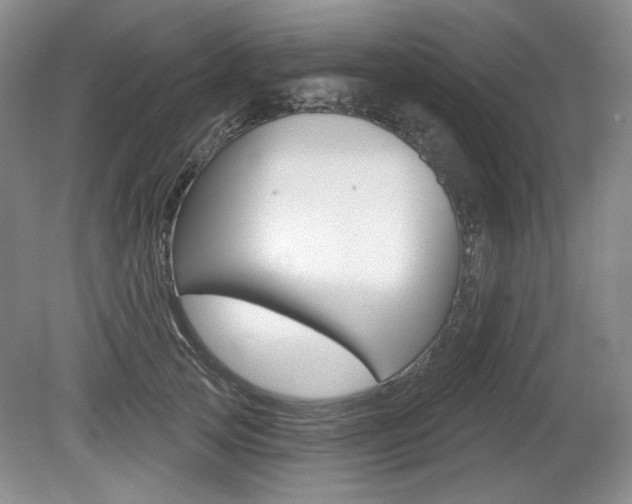 X0000080100753200612080929