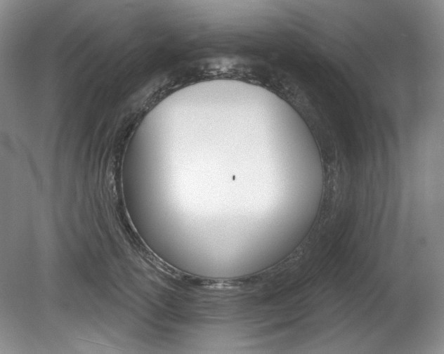 X0000080100754200612080929