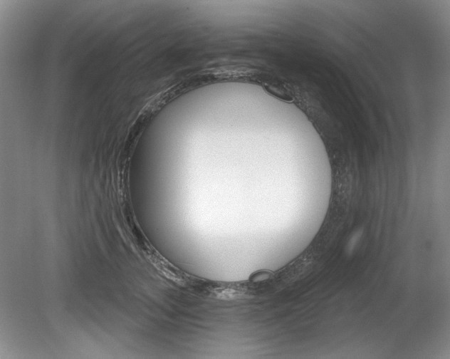 X0000080100755200612080929