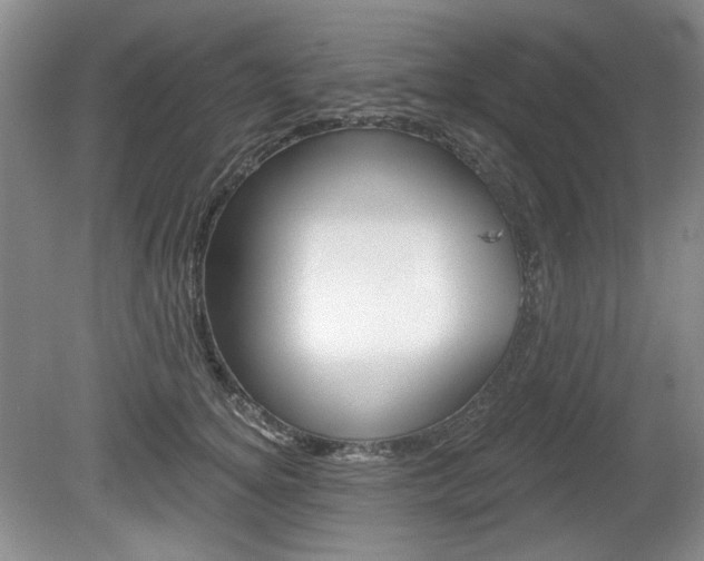 X0000080100756200612080929
