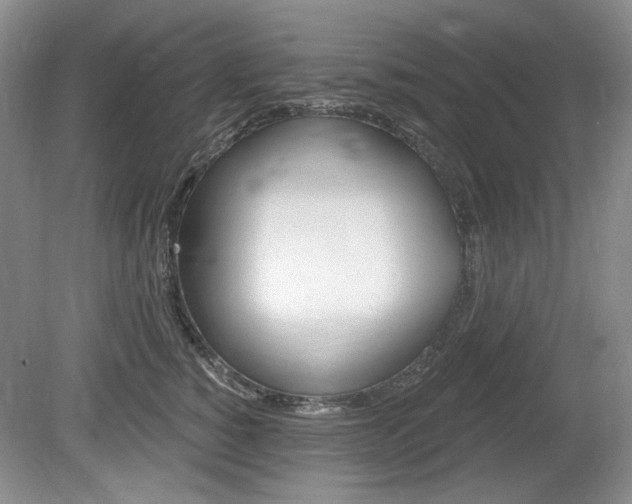 X0000080100760200612080929