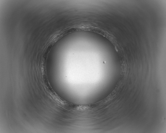 X0000080100762200612080929