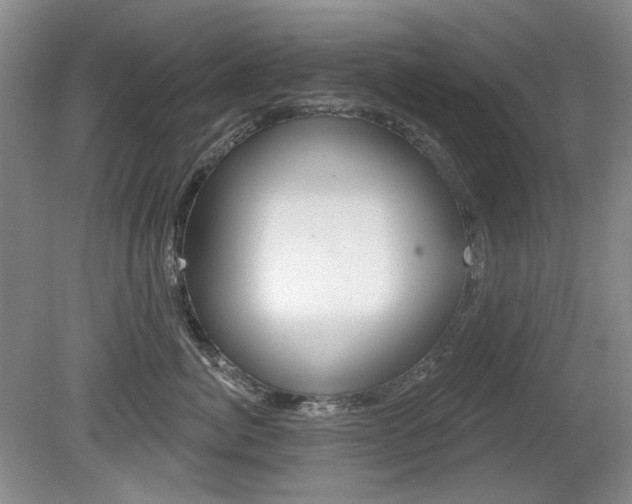 X0000080100764200612080929