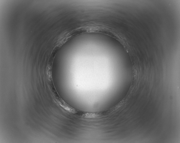 X0000080100766200612080929