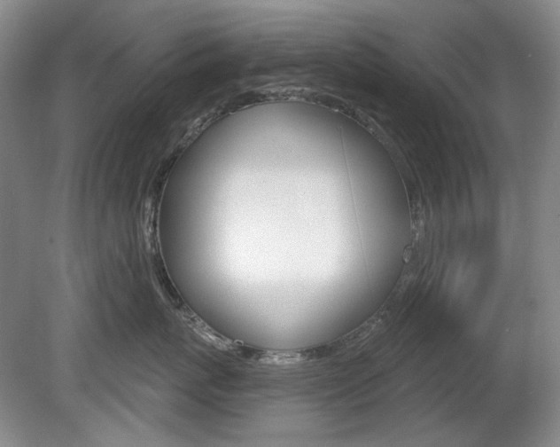 X0000080100767200612080929