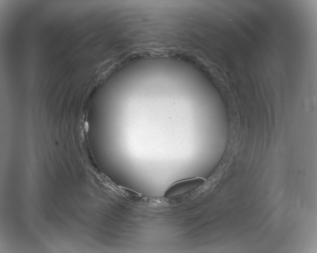 X0000080100768200612080929