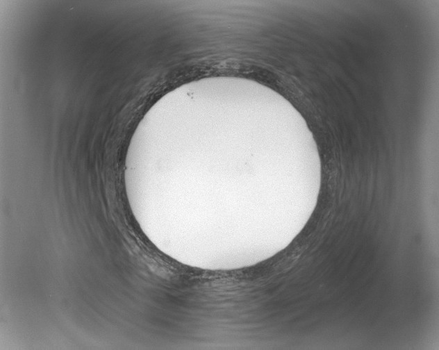 X0000080100769200612080928