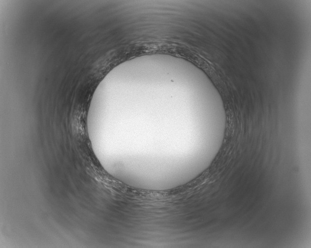X0000080100770200612080928