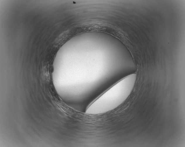 X0000080100771200612080928