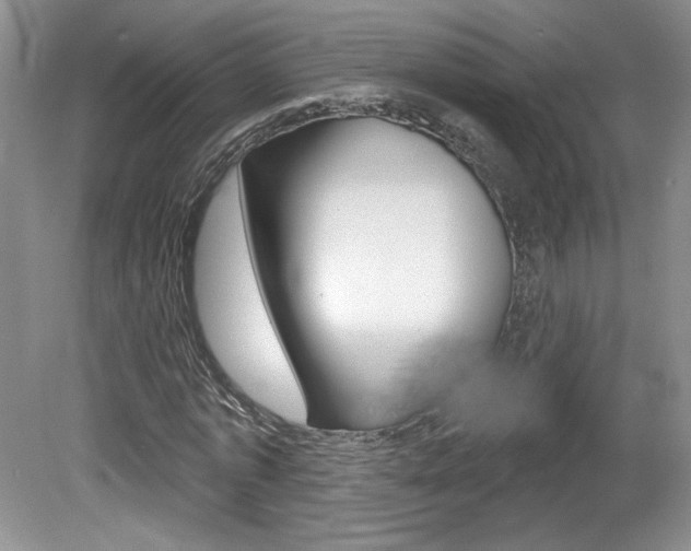 X0000080100773200612080928