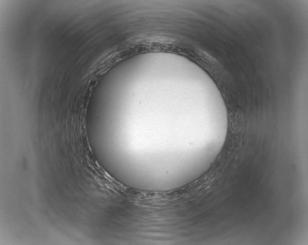 X0000080100774200612080928