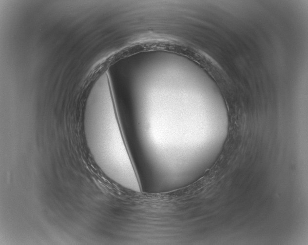 X0000080100775200612080928