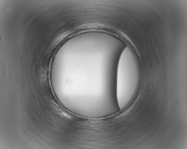 X0000080100778200612080928