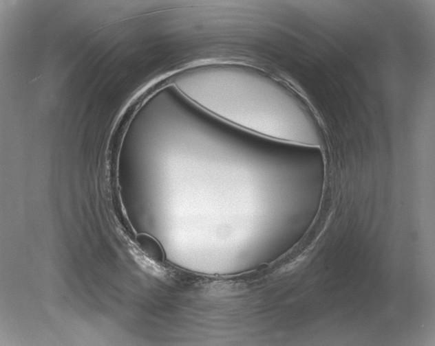 X0000080100779200612080928