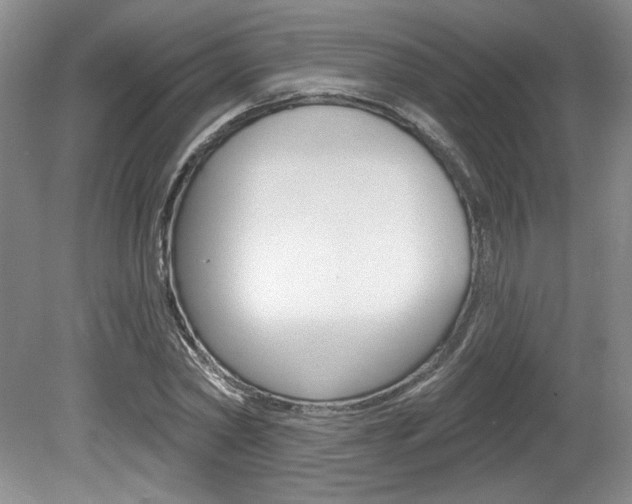 X0000080100782200612080928