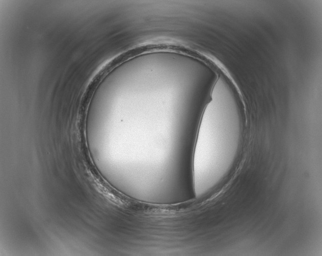 X0000080100783200612080928