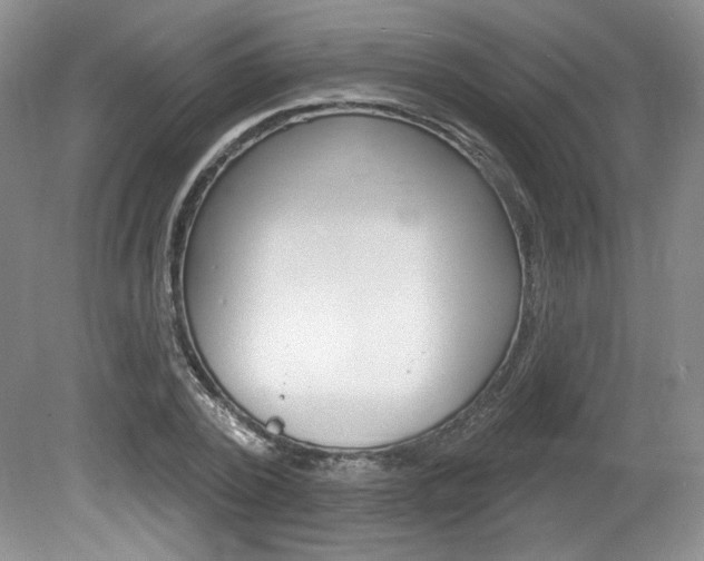 X0000080100784200612080928