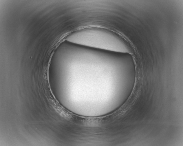 X0000080100785200612080928