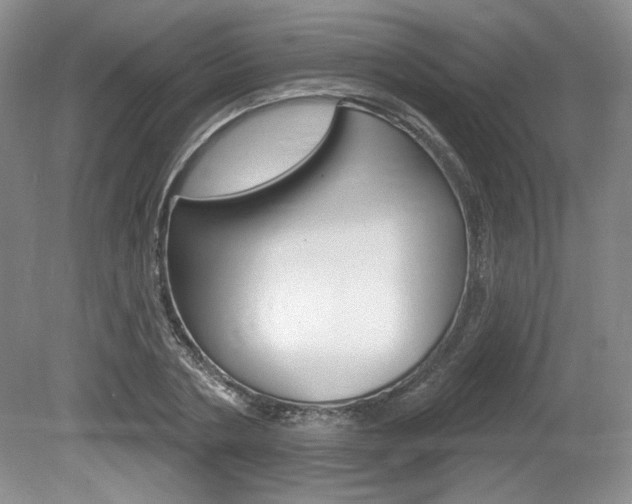 X0000080100786200612080928
