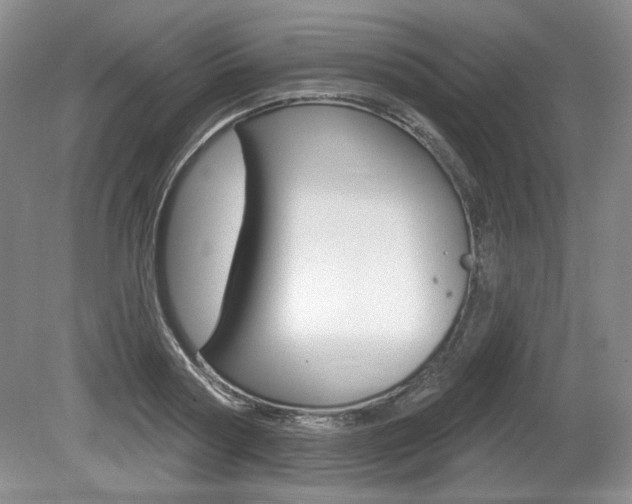 X0000080100794200612080928