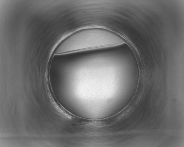 X0000080100797200612080928
