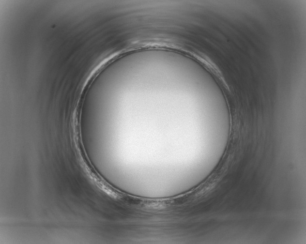 X0000080100798200612080928