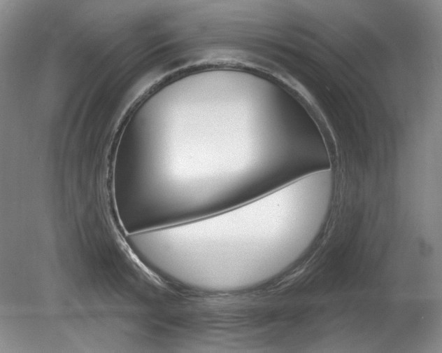 X0000080100799200612080928