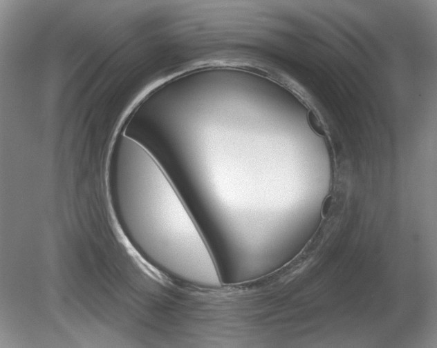 X0000080100803200612080928