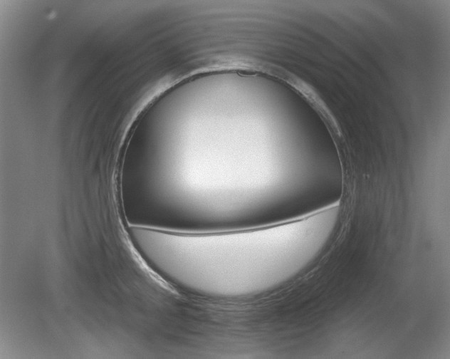 X0000080100805200612080928
