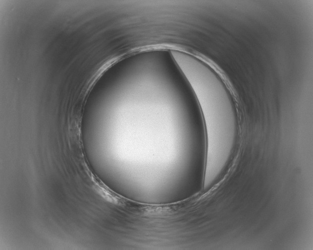 X0000080100809200612080928