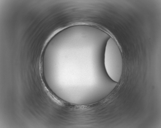 X0000080100811200612080928