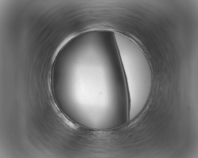 X0000080100812200612080928